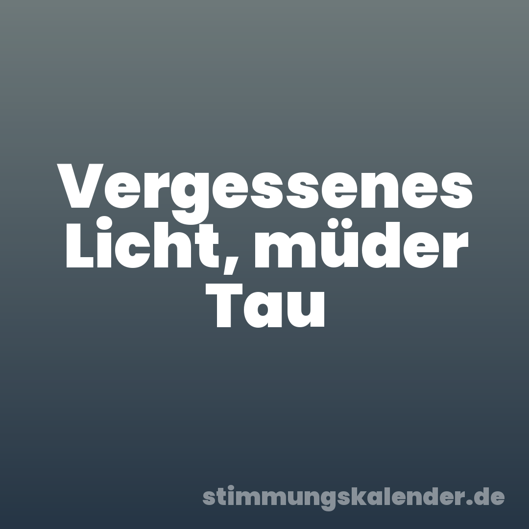 Vergessenes Licht, müder Tau