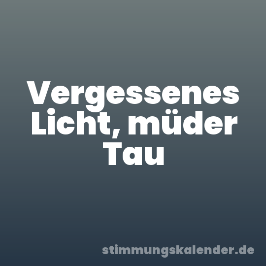 Vergessenes Licht, müder Tau