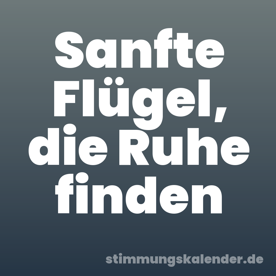 Sanfte Flügel, die Ruhe finden