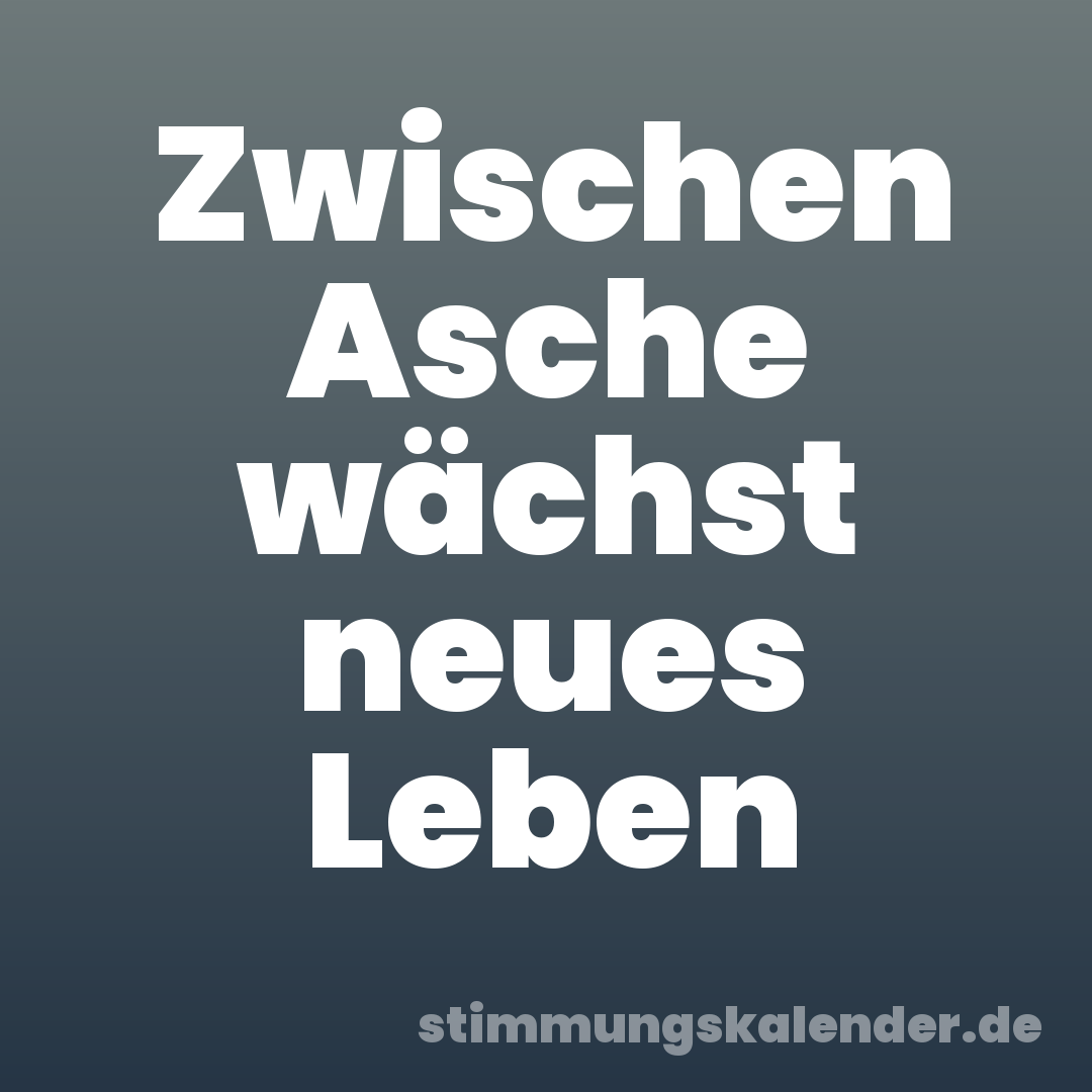 Zwischen Asche wächst neues Leben