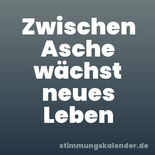 Zwischen Asche wächst neues Leben