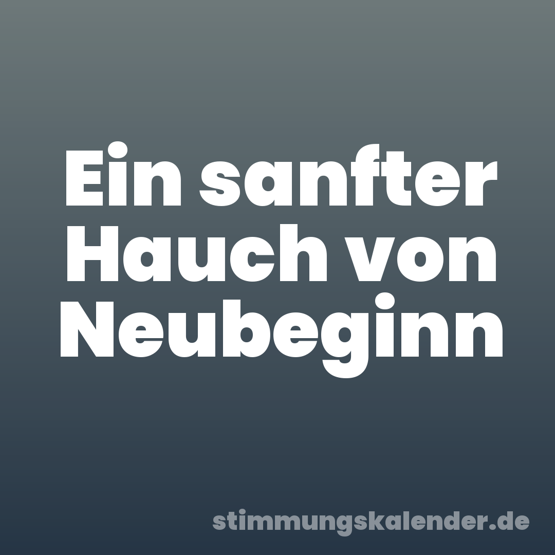 Ein sanfter Hauch von Neubeginn