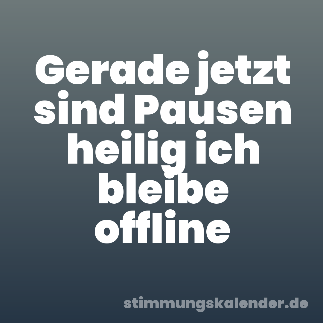 Gerade jetzt sind Pausen heilig ich bleibe offline