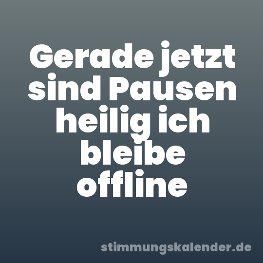 Gerade jetzt sind Pausen heilig ich bleibe offline