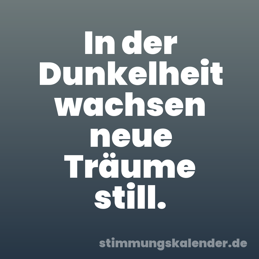 In der Dunkelheit wachsen neue Träume still.