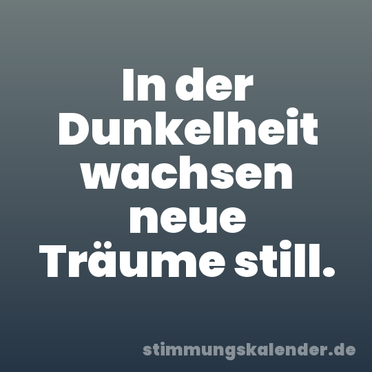 In der Dunkelheit wachsen neue Träume still.