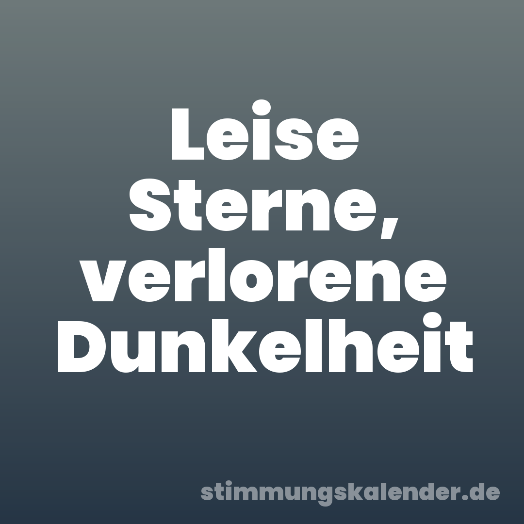 Leise Sterne, verlorene Dunkelheit