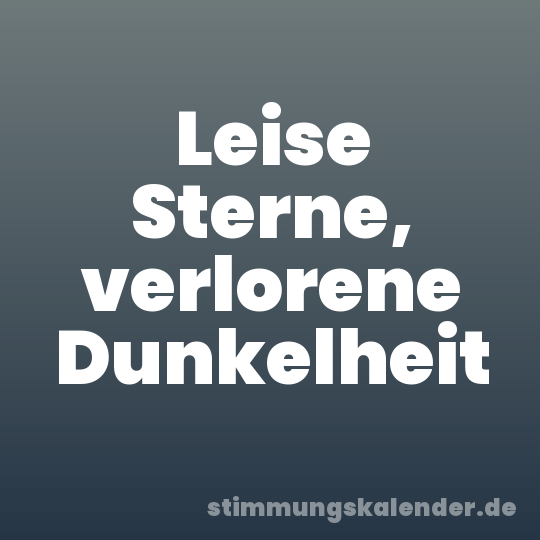 Leise Sterne, verlorene Dunkelheit