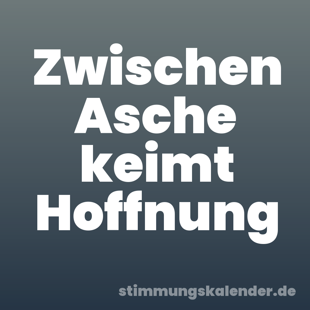 Zwischen Asche keimt Hoffnung