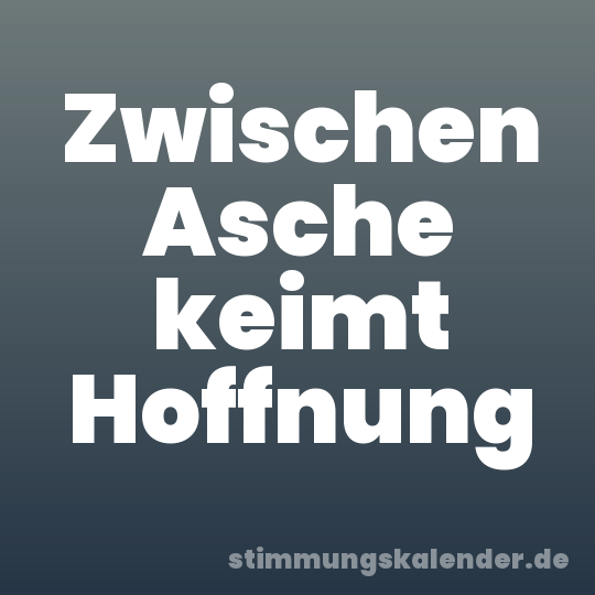 Zwischen Asche keimt Hoffnung