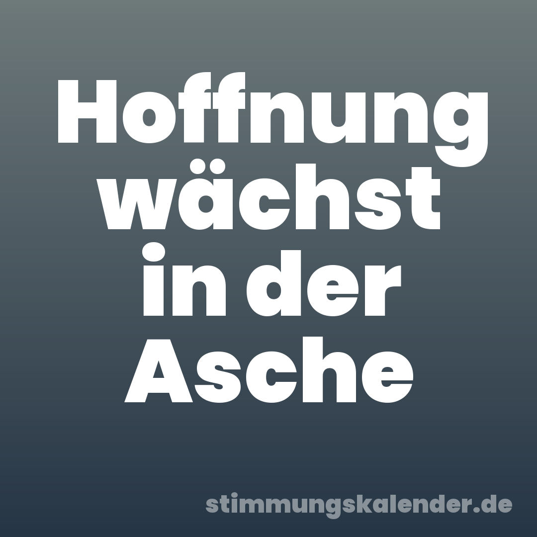 Hoffnung wächst in der Asche