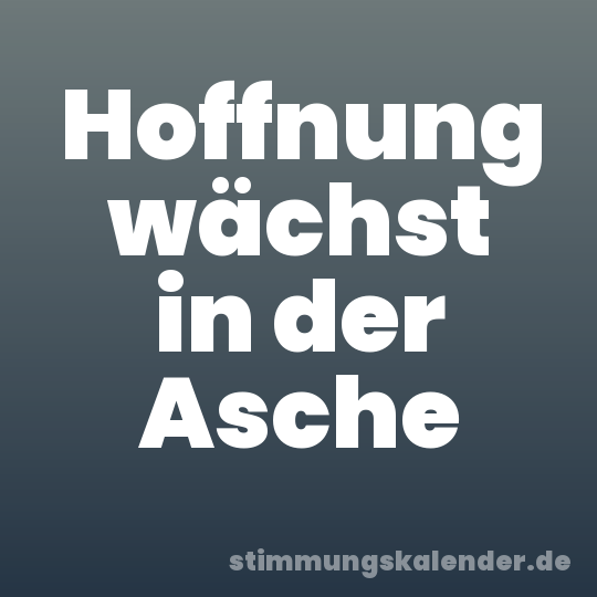 Hoffnung wächst in der Asche