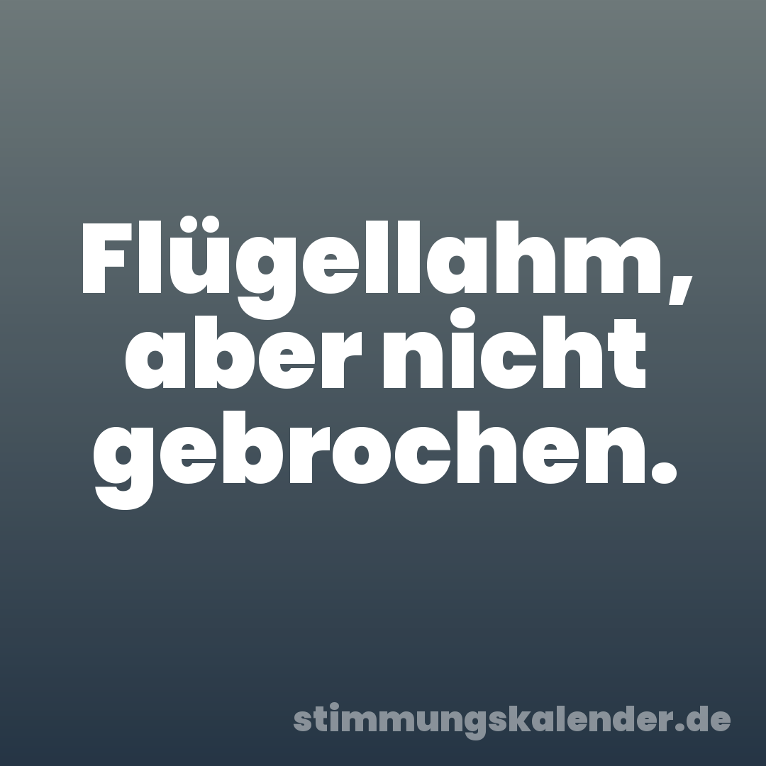 Flügellahm, aber nicht gebrochen.
