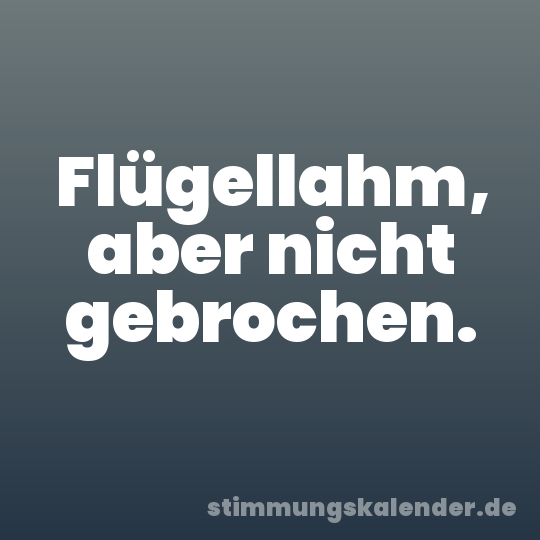 Flügellahm, aber nicht gebrochen.