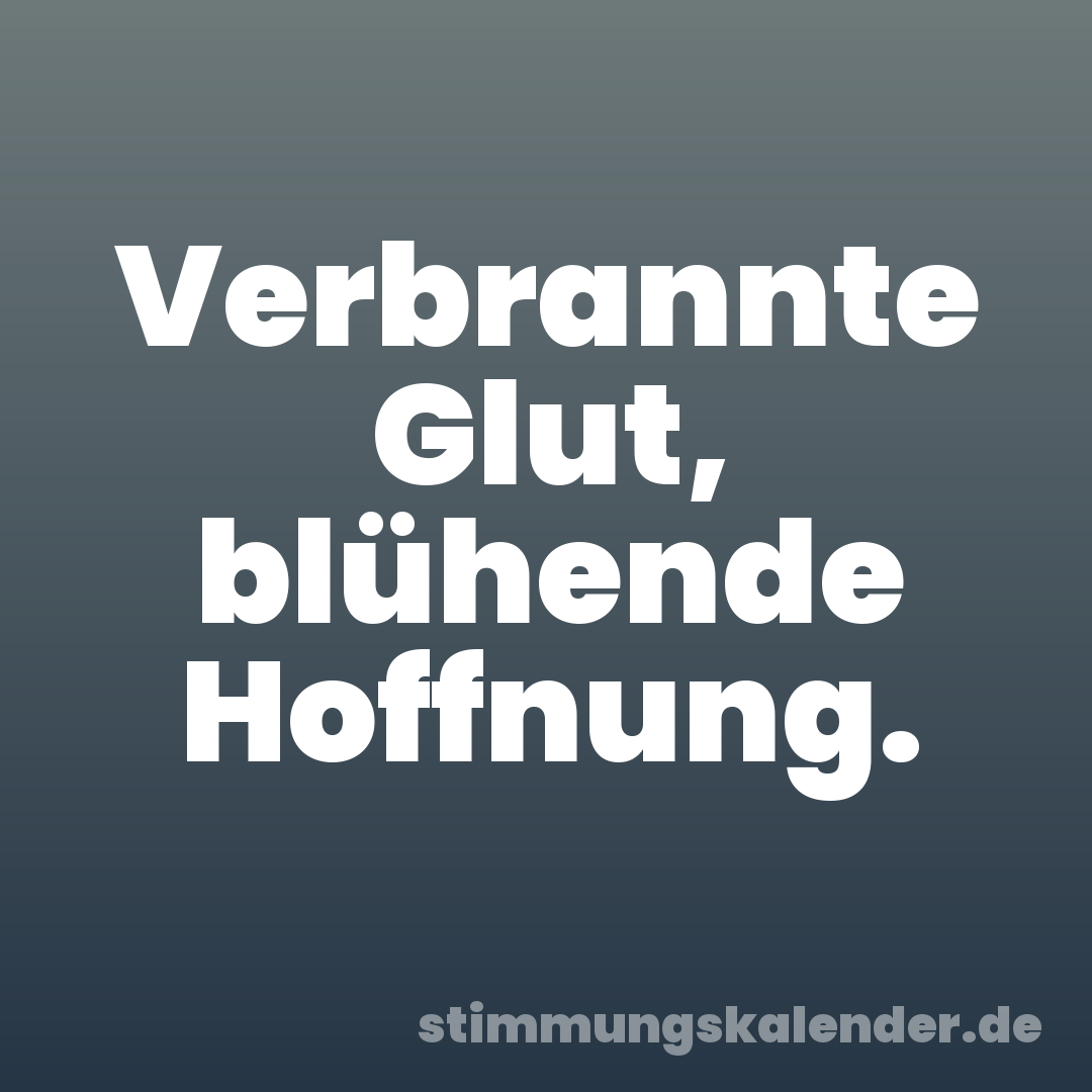 Verbrannte Glut, blühende Hoffnung.