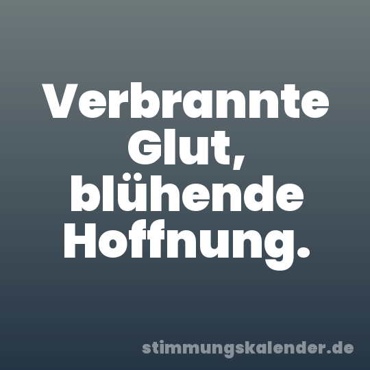 Verbrannte Glut, blühende Hoffnung.