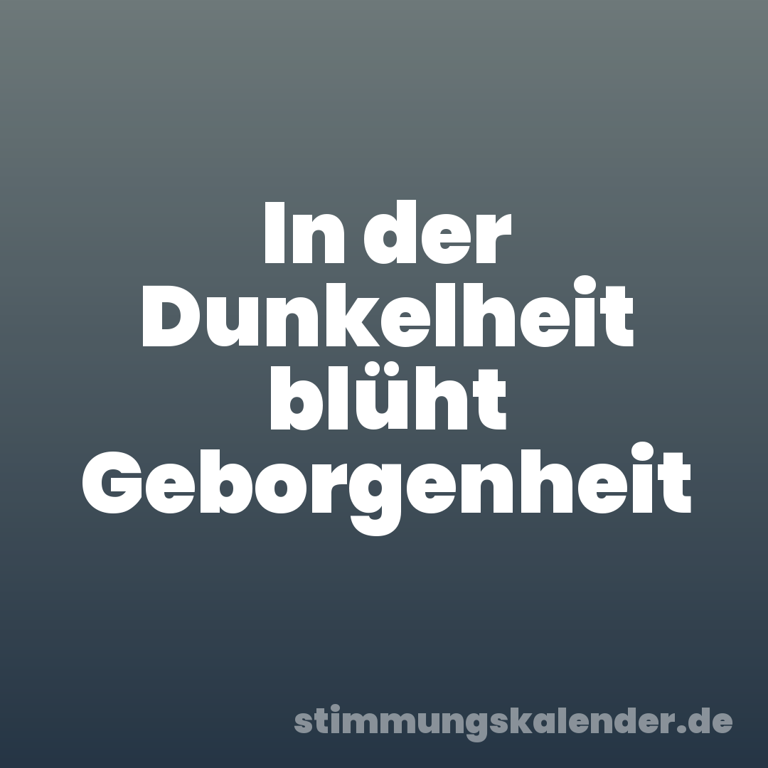 In der Dunkelheit blüht Geborgenheit