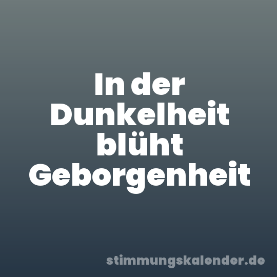 In der Dunkelheit blüht Geborgenheit