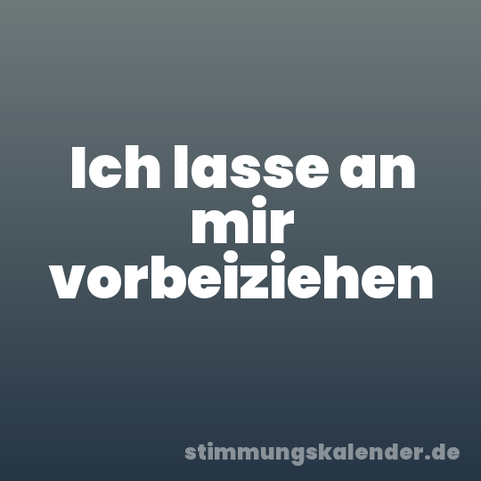 Ich lasse an mir vorbeiziehen