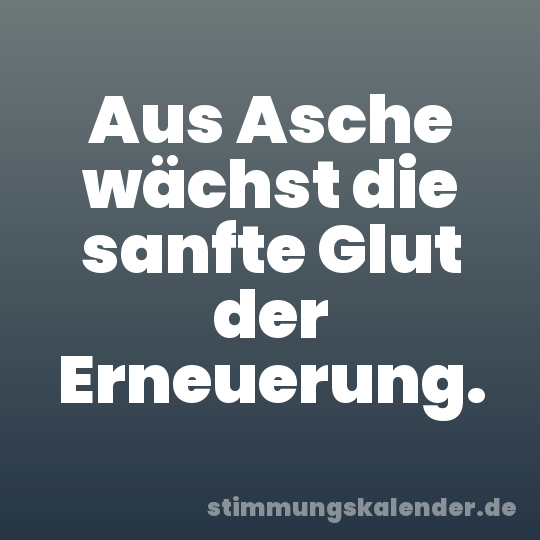 Aus Asche wächst die sanfte Glut der Erneuerung.