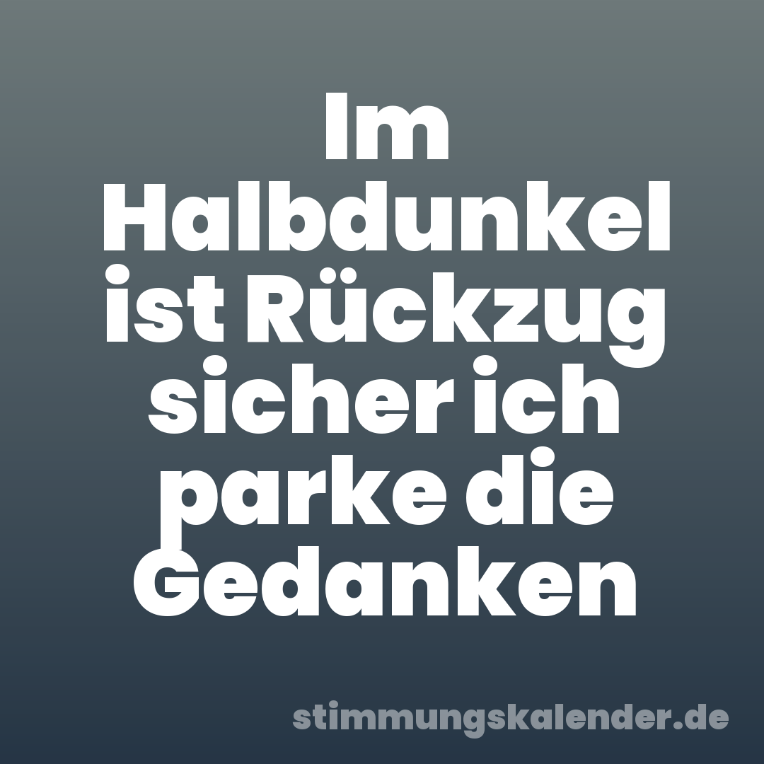 Im Halbdunkel ist Rückzug sicher ich parke die Gedanken