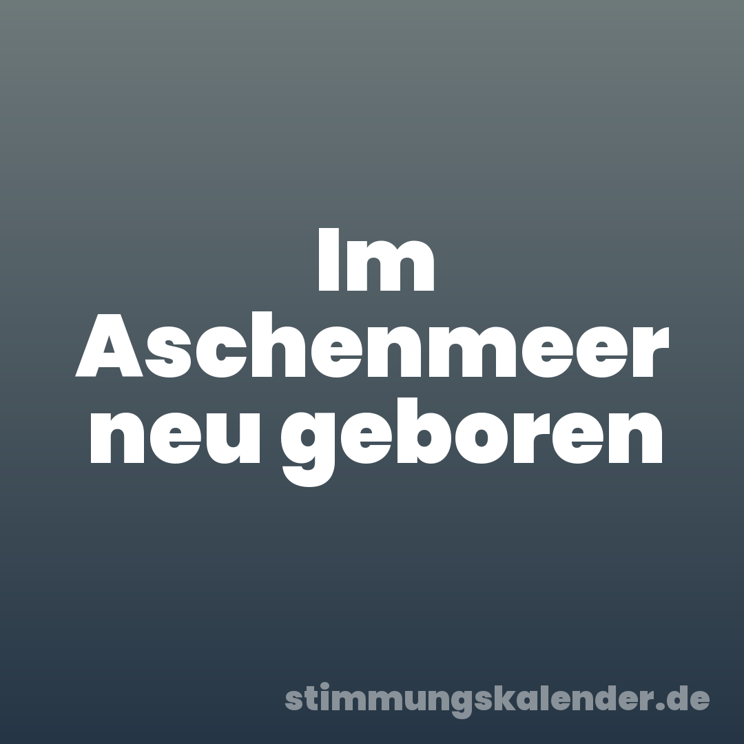 Im Aschenmeer neu geboren