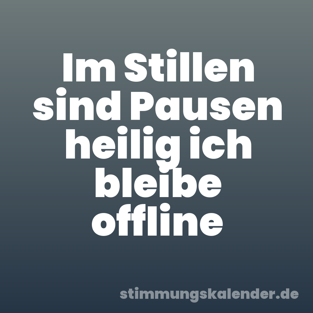 Im Stillen sind Pausen heilig ich bleibe offline