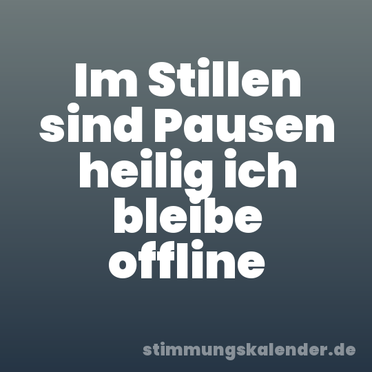 Im Stillen sind Pausen heilig ich bleibe offline