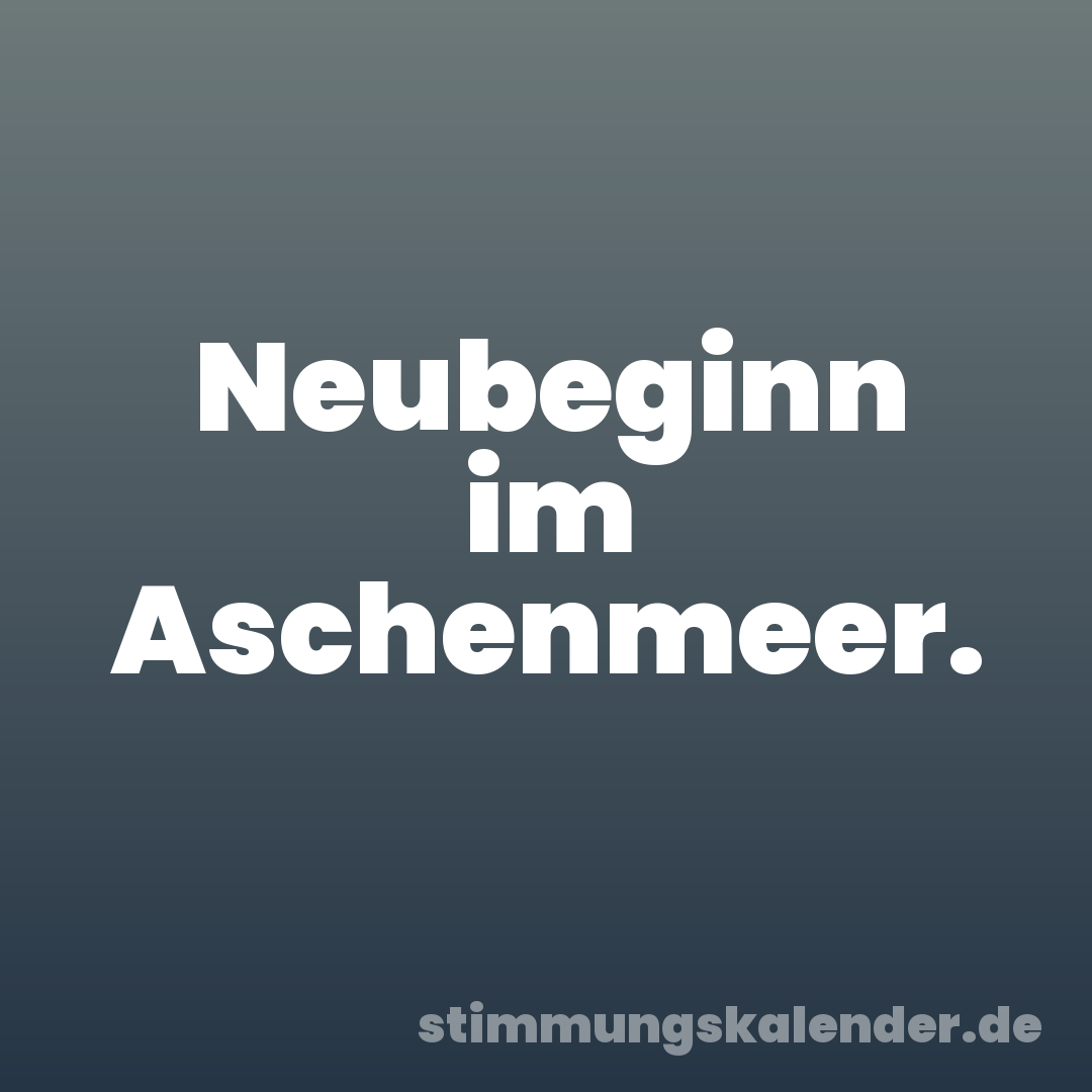 Neubeginn im Aschenmeer.