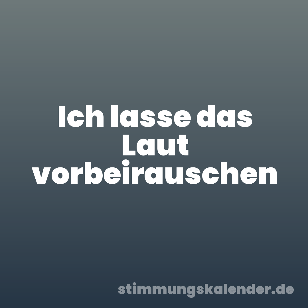 Ich lasse das Laut vorbeirauschen