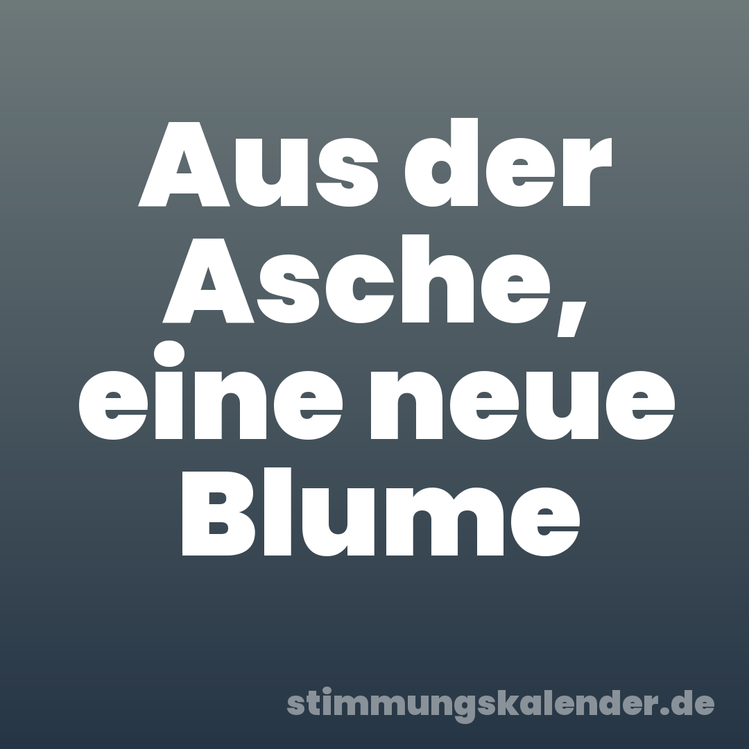 Aus der Asche, eine neue Blume