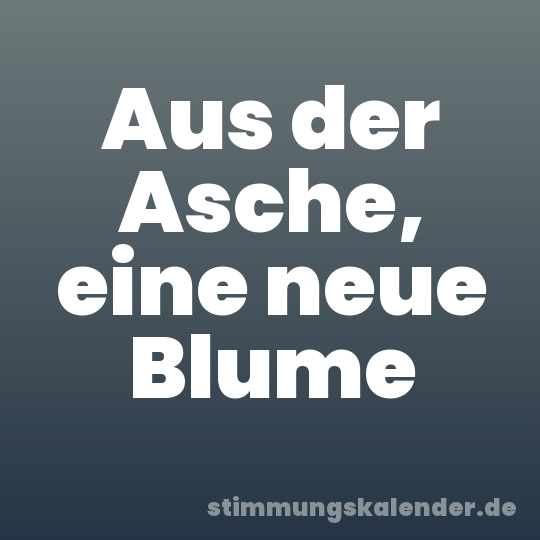 Aus der Asche, eine neue Blume