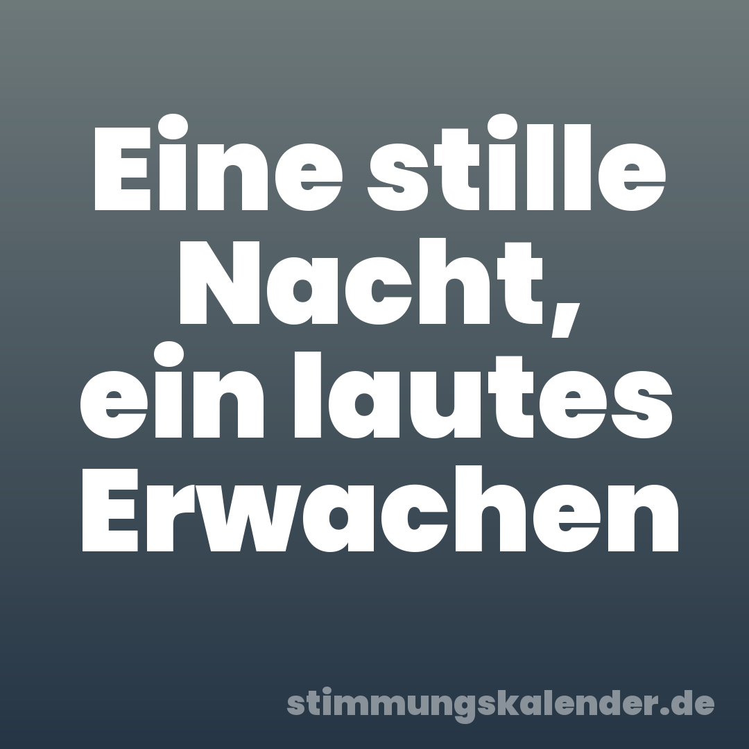 Eine stille Nacht, ein lautes Erwachen