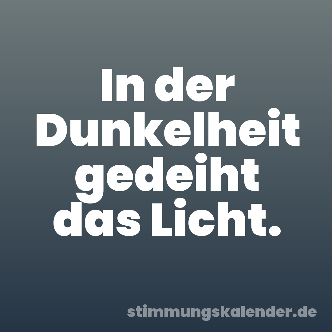 In der Dunkelheit gedeiht das Licht.