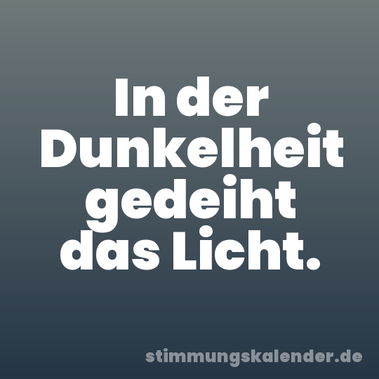 In der Dunkelheit gedeiht das Licht.