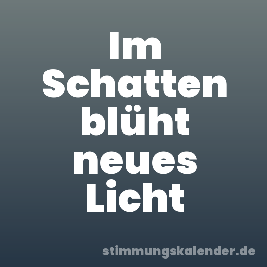 Im Schatten blüht neues Licht