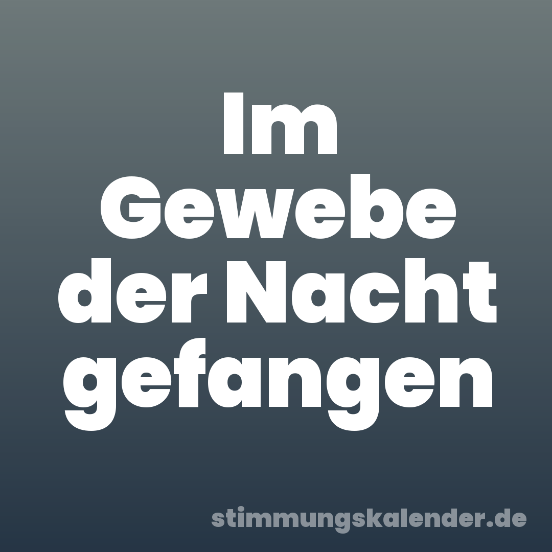 Im Gewebe der Nacht gefangen