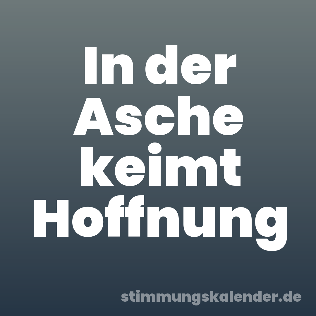 In der Asche keimt Hoffnung