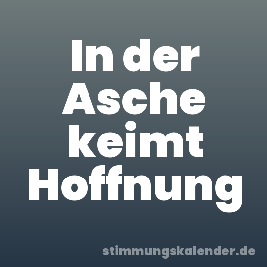 In der Asche keimt Hoffnung