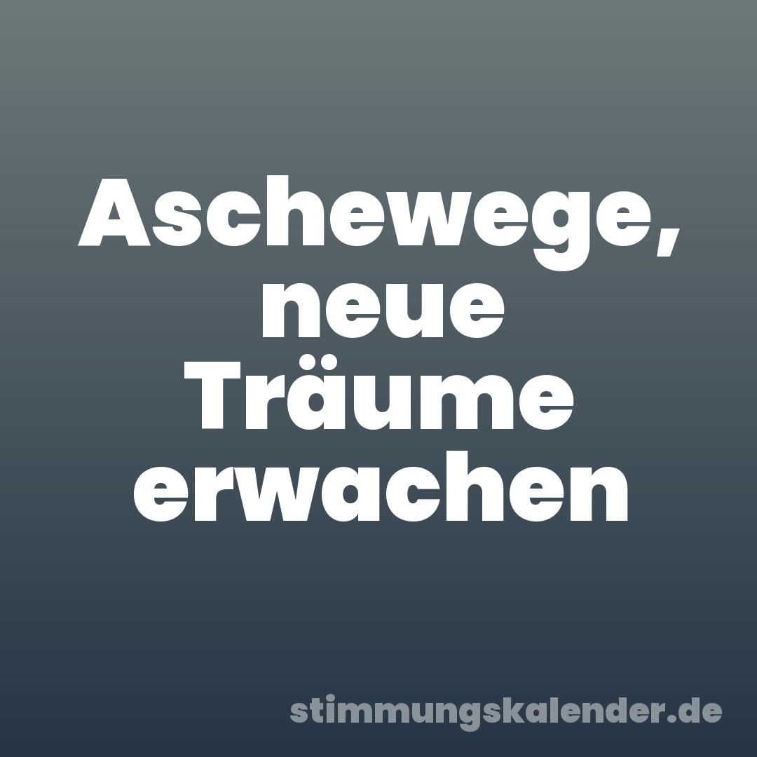 Aschewege, neue Träume erwachen