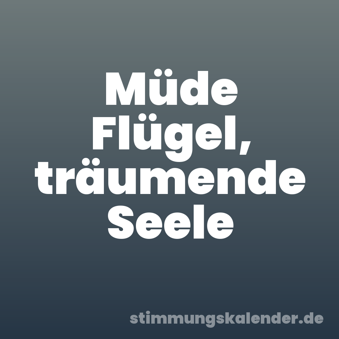 Müde Flügel, träumende Seele