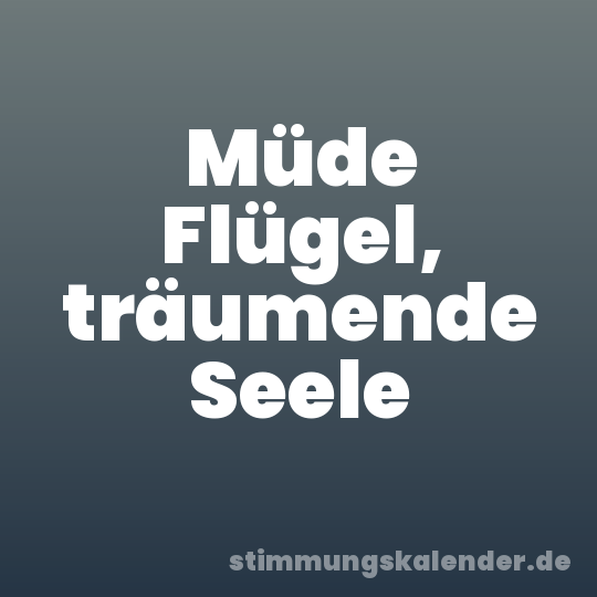 Müde Flügel, träumende Seele