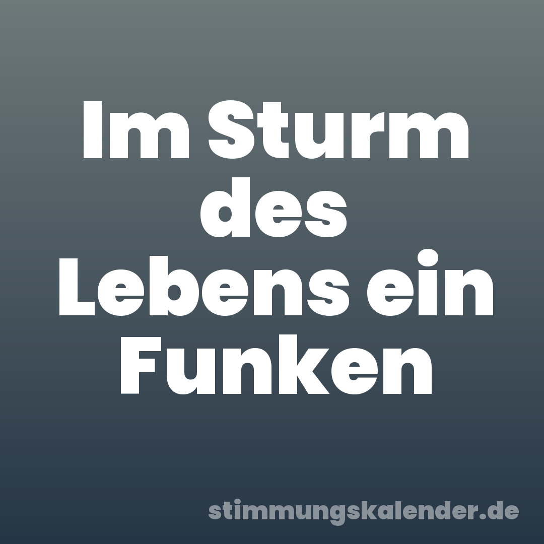 Im Sturm des Lebens ein Funken