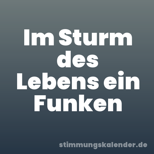 Im Sturm des Lebens ein Funken