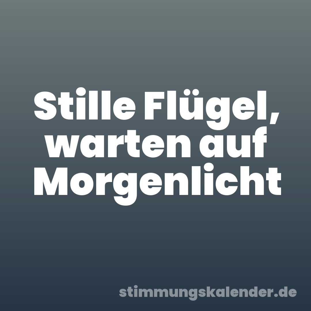 Stille Flügel, warten auf Morgenlicht