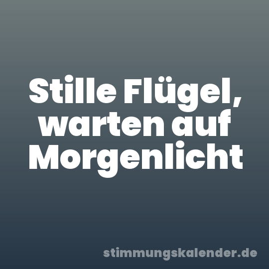 Stille Flügel, warten auf Morgenlicht