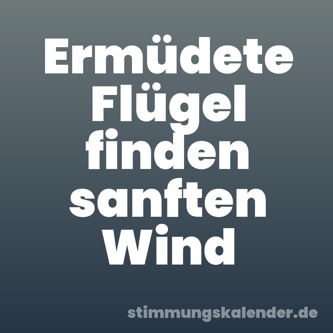Ermüdete Flügel finden sanften Wind