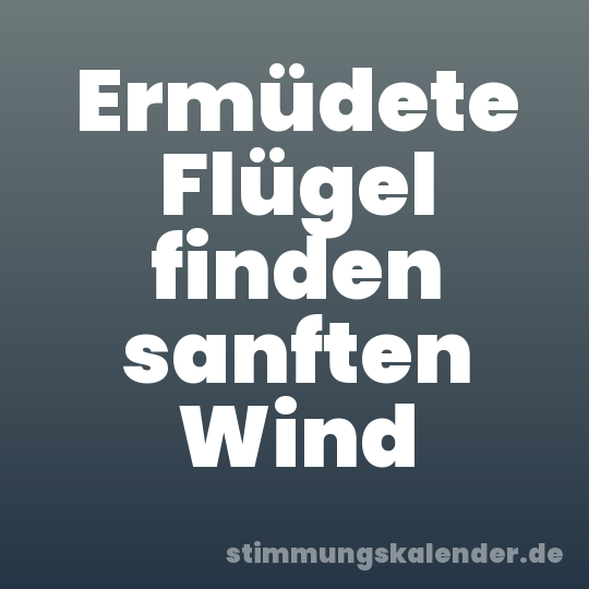 Ermüdete Flügel finden sanften Wind