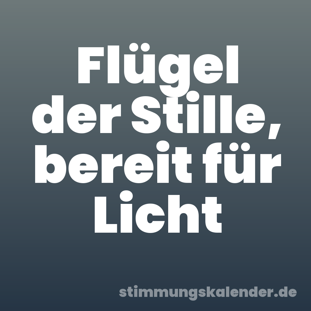 Flügel der Stille, bereit für Licht