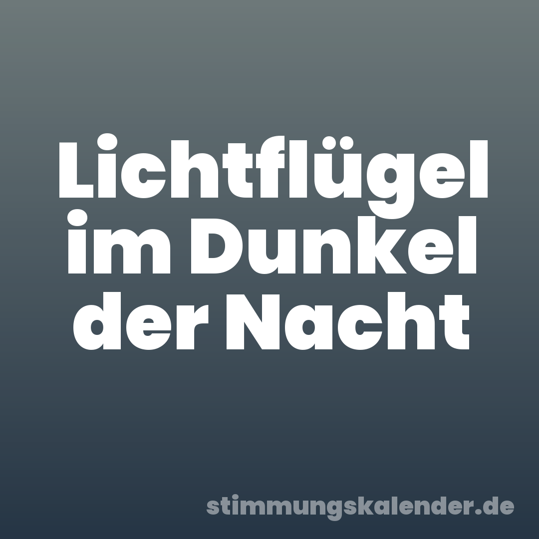 Lichtflügel im Dunkel der Nacht